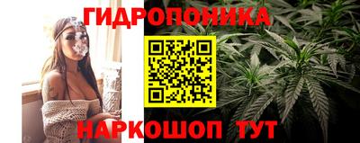 эйфоретик Краснокаменск