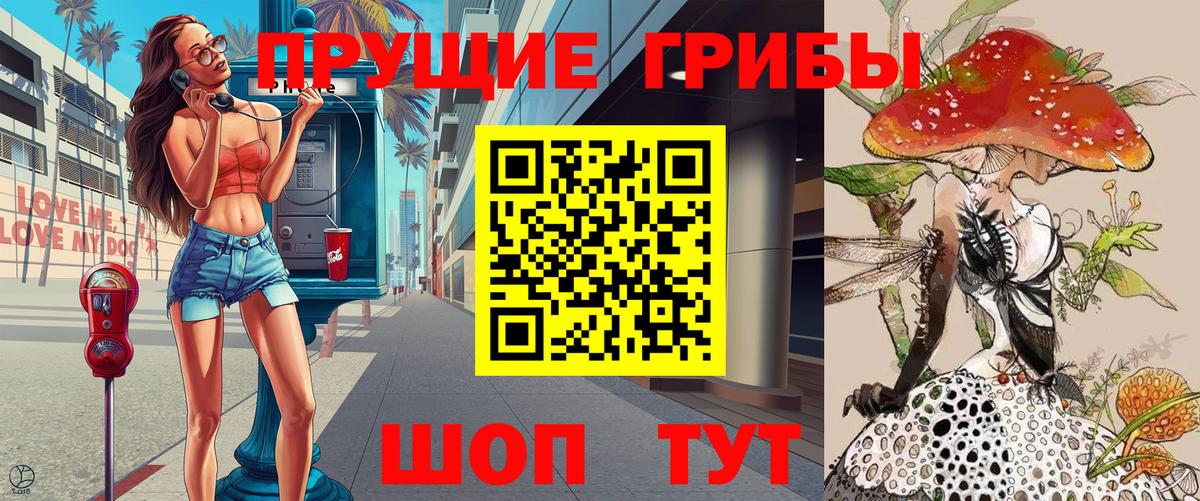 Камень-на-Оби  Псилоцибиновые грибы Magic Shrooms  Вход с VPN 