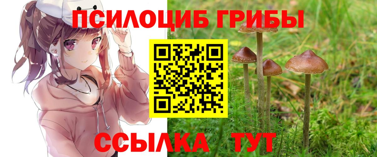 Галлюциногенные грибы MAGIC MUSHROOMS Камень-на-Оби